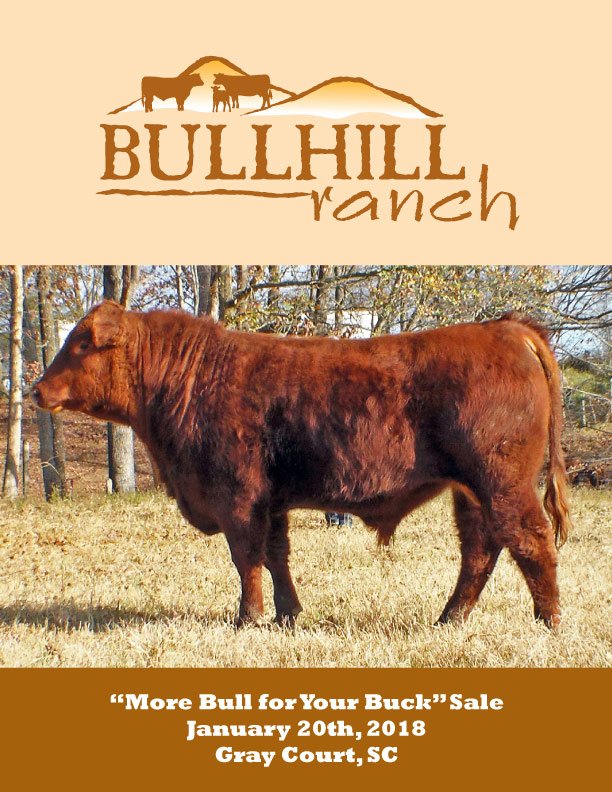 Archives Bull Hill Red Angus Ranch 8012